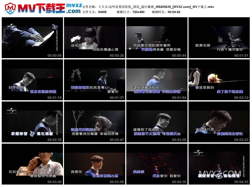 王大文-这些花要送给你_国语_流行歌曲_MB205635